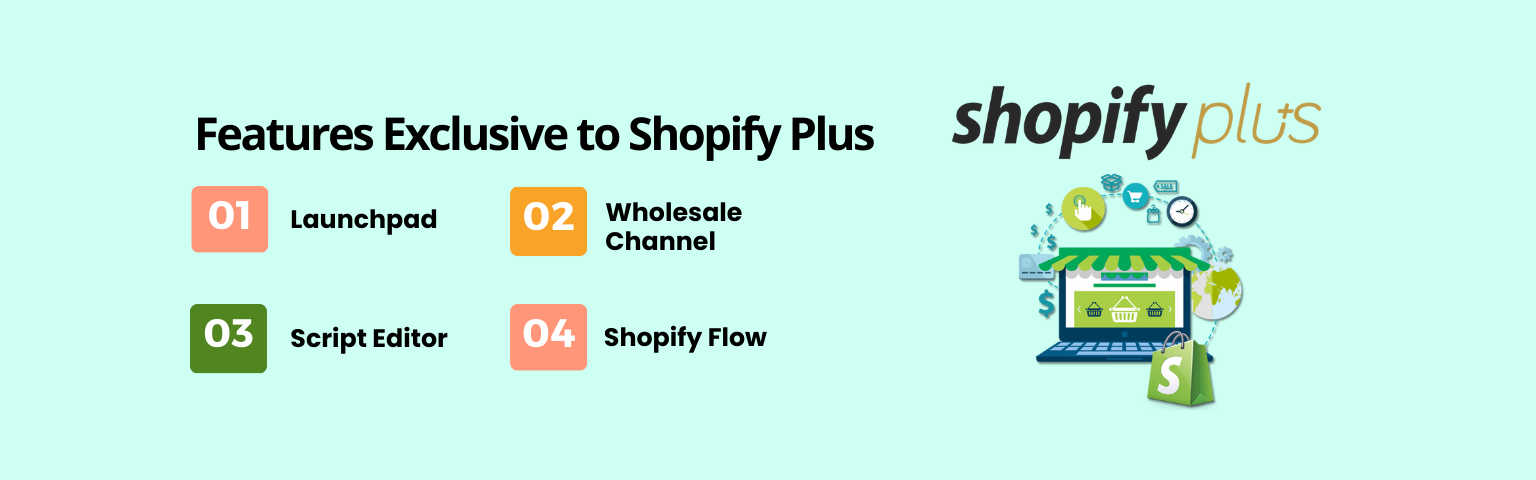 Features Exclusive to Shopify Plus emavens.com (1)